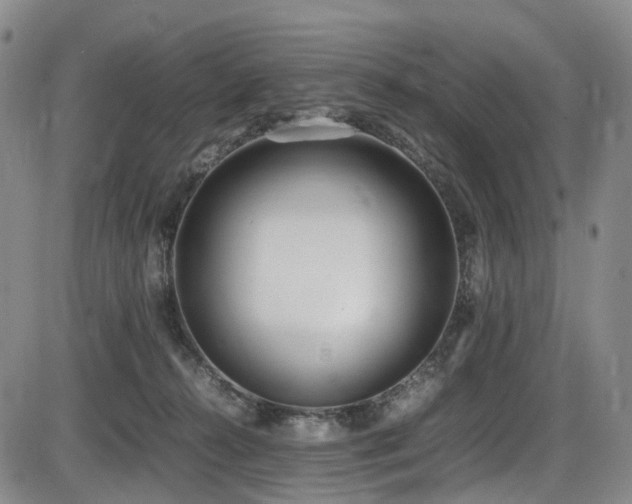 X0000086340272200703301303