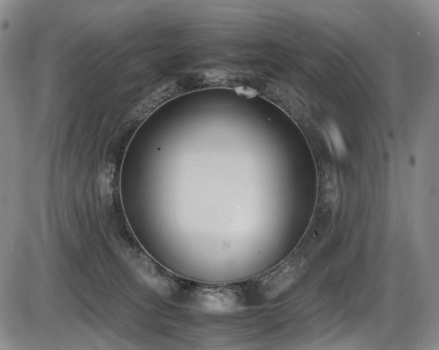 X0000086340275200703301303