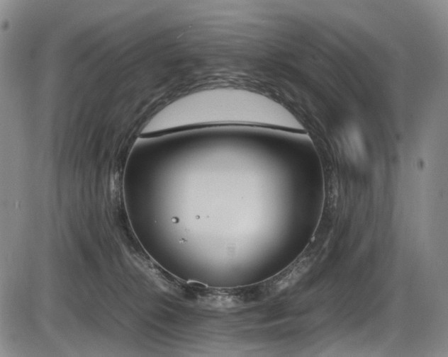 X0000086340276200703301303