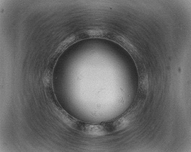 X0000086340277200703301303