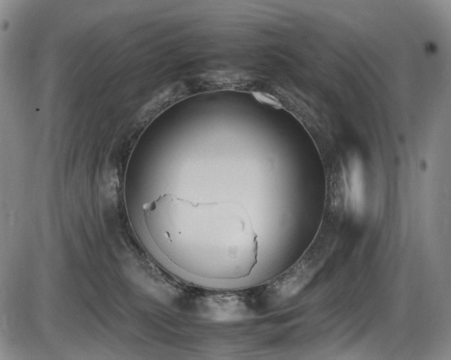 X0000086340279200703301303