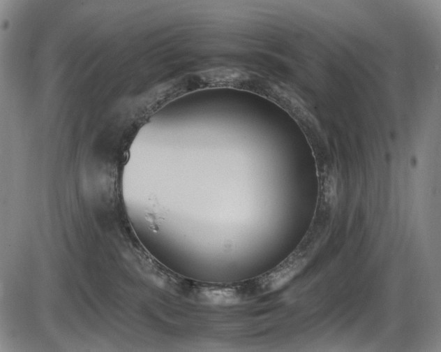 X0000086340283200703301303