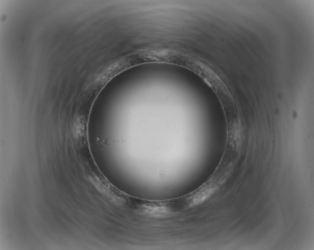 X0000086340284200703301303