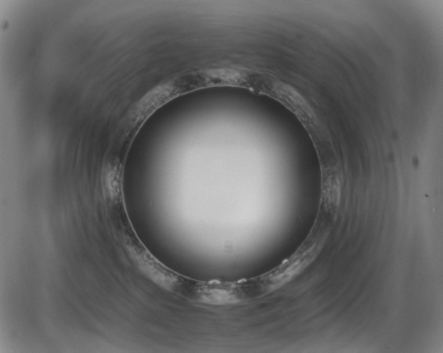 X0000086340285200703301303