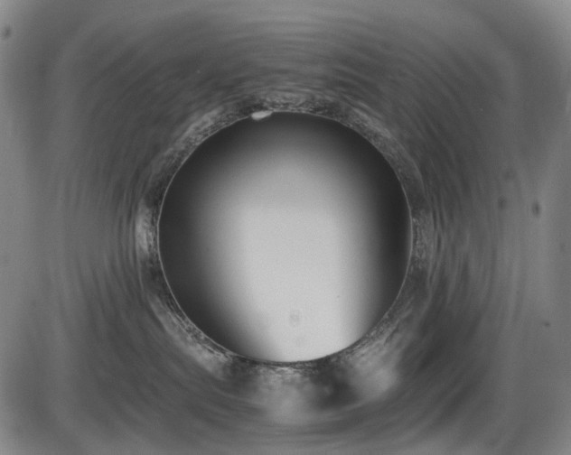 X0000086340287200703301303
