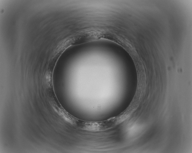 X0000086340288200703301303