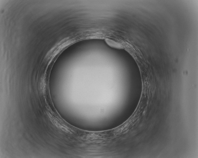X0000086340290200703301303