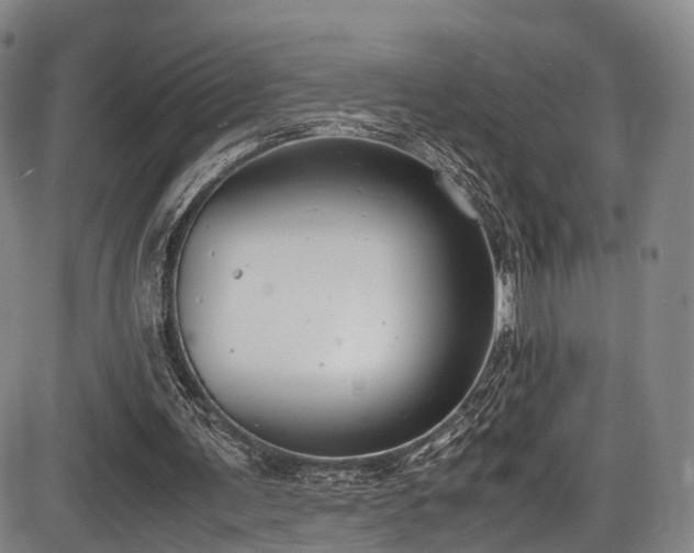 X0000086340291200703301303