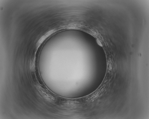 X0000086340292200703301303