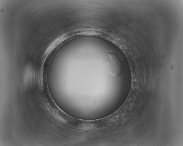X0000086340296200703301302