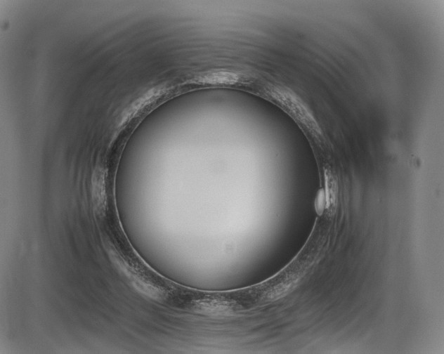 X0000086340300200703301302