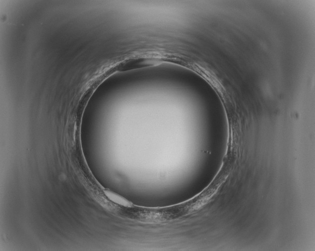 X0000086340301200703301302