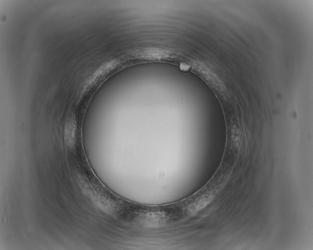 X0000086340304200703301302