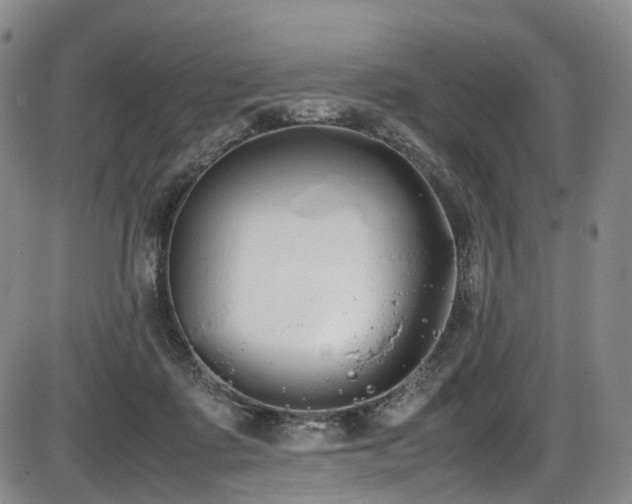 X0000086340315200703301302