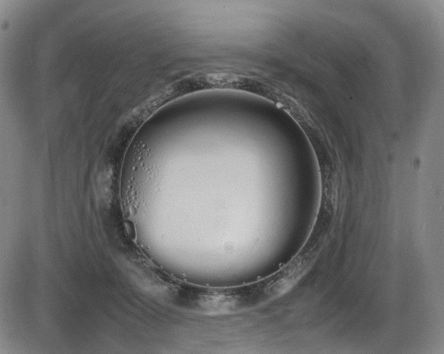 X0000086340319200703301302