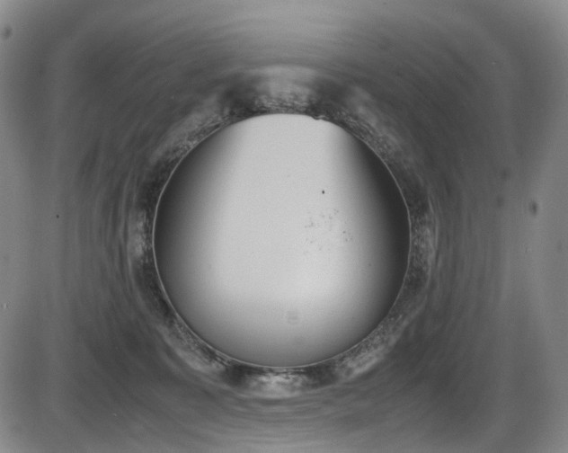 X0000086340323200703301302