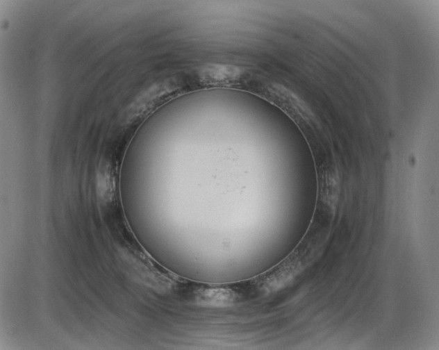 X0000086340324200703301302