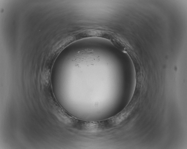 X0000086340325200703301302