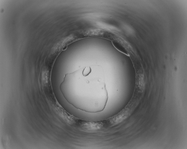 X0000086340326200703301302