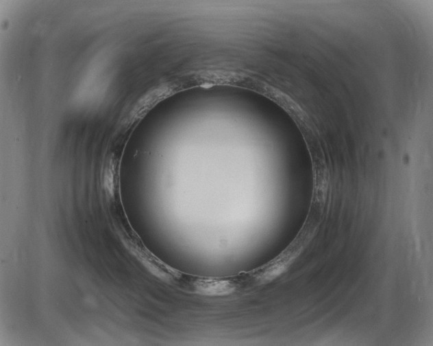 X0000086340334200703301302