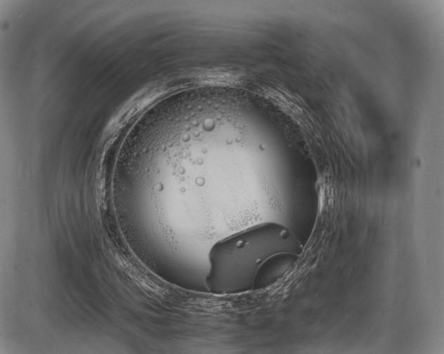 X0000086340339200703301301