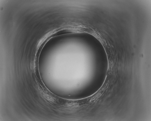 X0000086340340200703301301