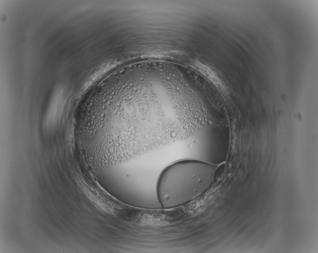 X0000086340346200703301301