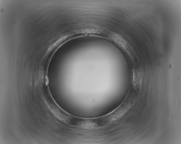 X0000086340348200703301301