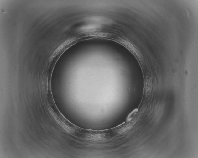 X0000086340349200703301301