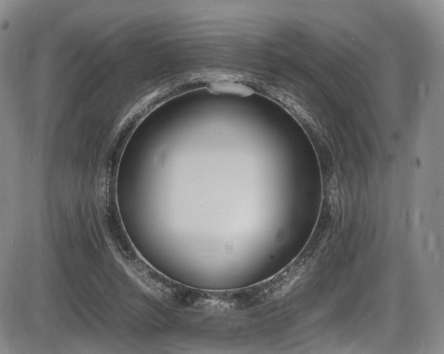X0000086340352200703301301