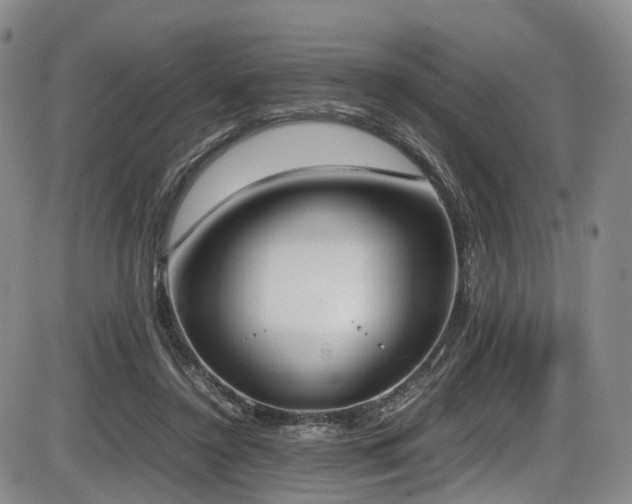 X0000086340356200703301301