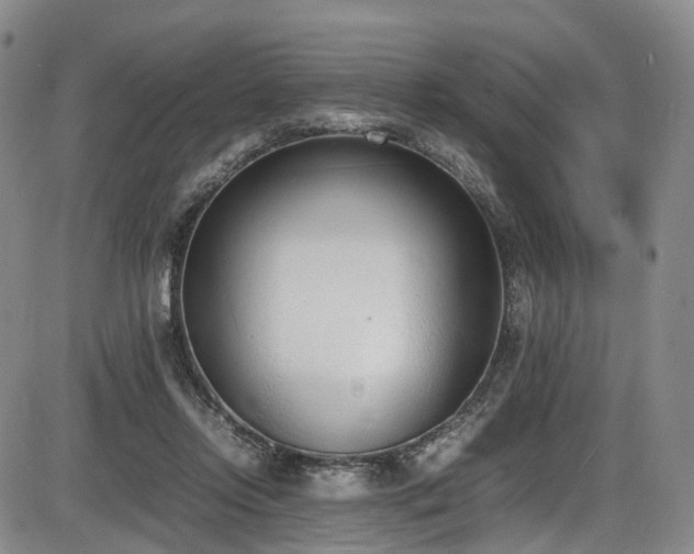 X0000086340358200703301301