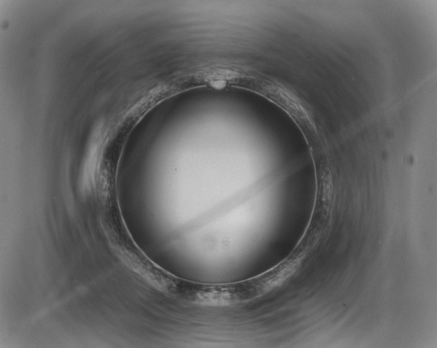 X0000086340362200703301301