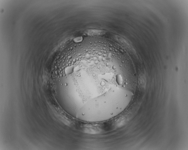 X0000086340367200703301301