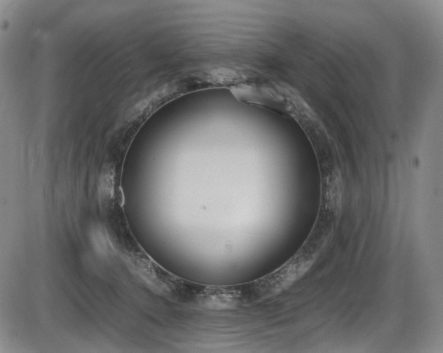 X0000086340368200703301301