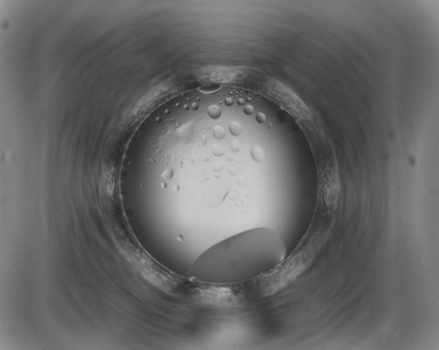 X0000086340374200703301302