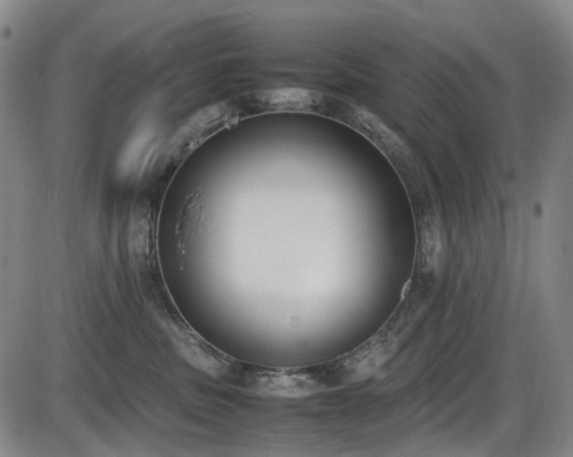 X0000086340379200703301302