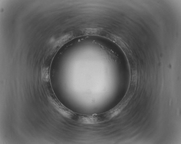 X0000086340383200703301302