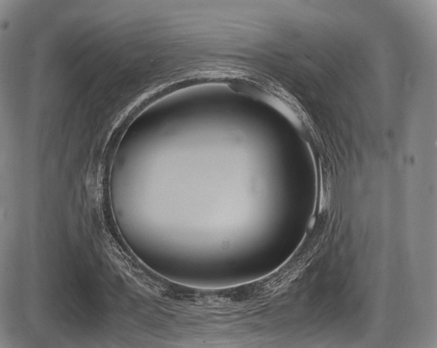 X0000086340387200703301301