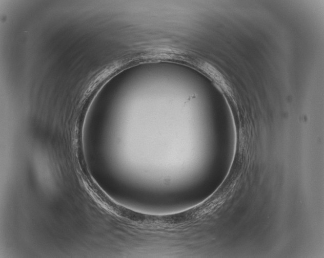 X0000086340389200703301301