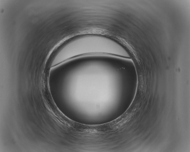 X0000086340392200703301301