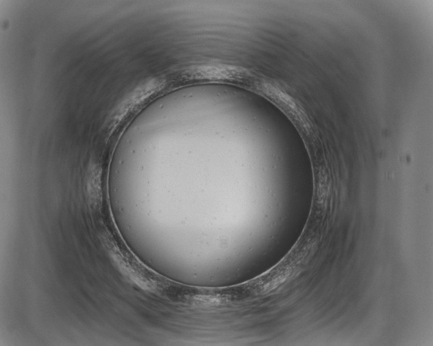 X0000086340394200703301301