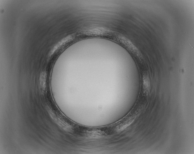 X0000086340396200703301301