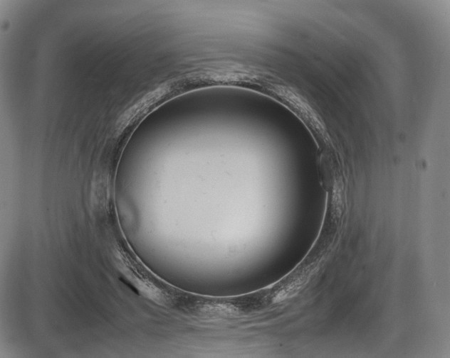 X0000086340397200703301301
