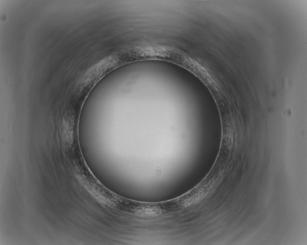 X0000086340402200703301301