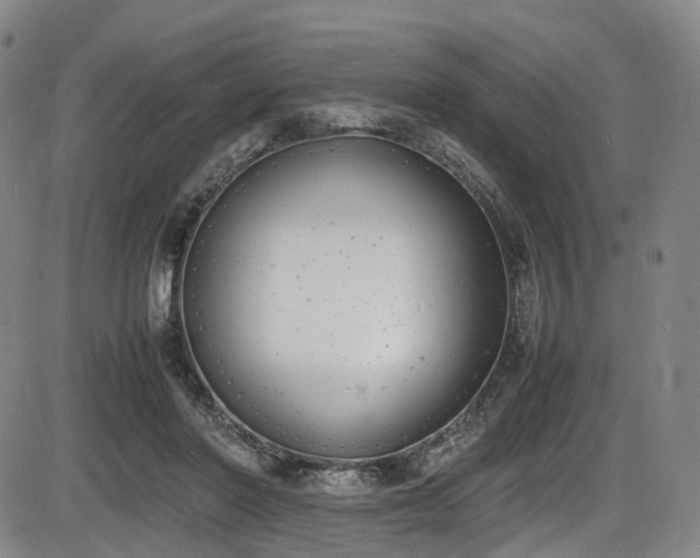 X0000086340406200703301301