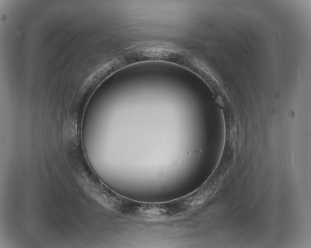 X0000086340407200703301301