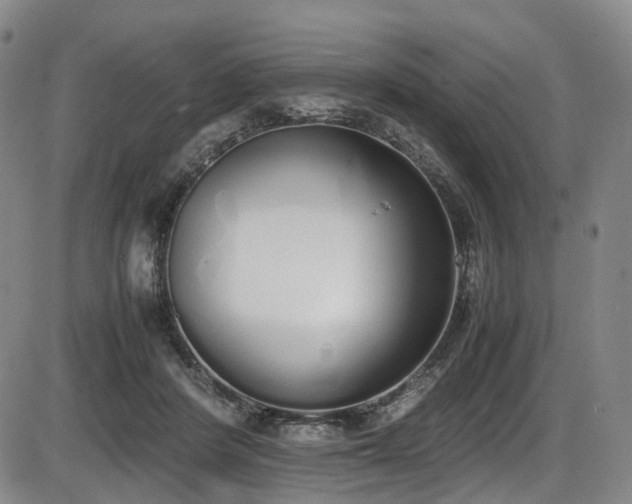 X0000086340408200703301301