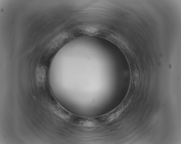 X0000086340412200703301301