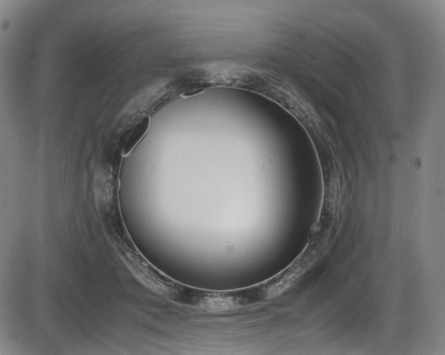 X0000086340413200703301300